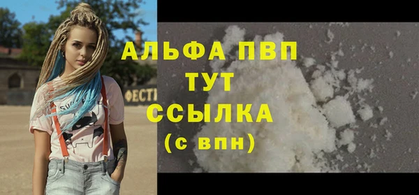 прущие грибы Касимов