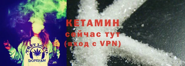 прущие грибы Касимов