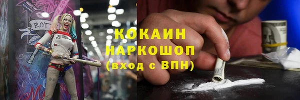 прущие грибы Касимов