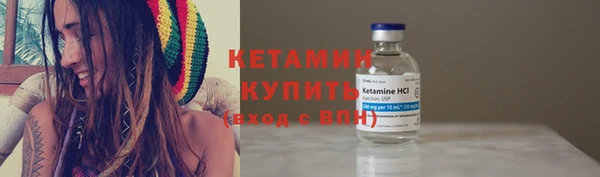 прущие грибы Касимов