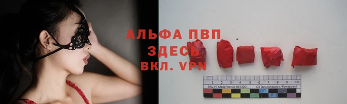 прущие грибы Касимов