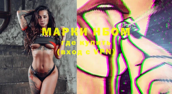 прущие грибы Касимов