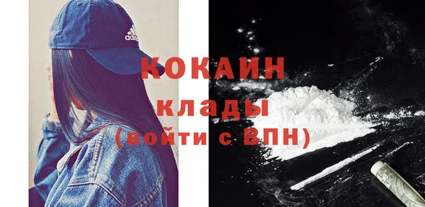 прущие грибы Касимов