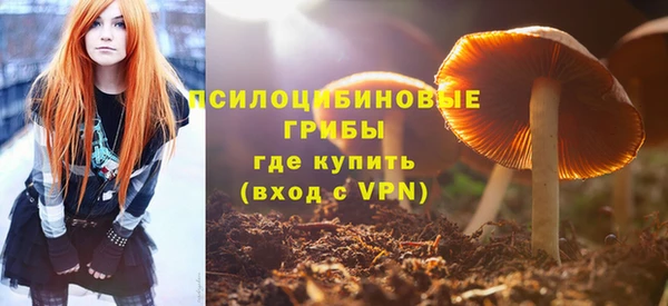 прущие грибы Касимов