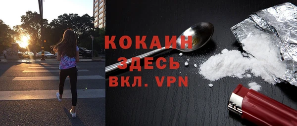 прущие грибы Касимов