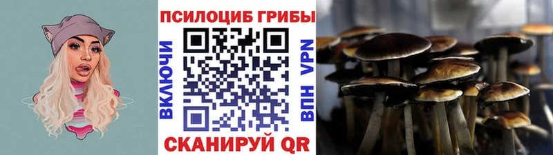 Купить где Черепаново Псилоцибиновые грибы прущие грибы